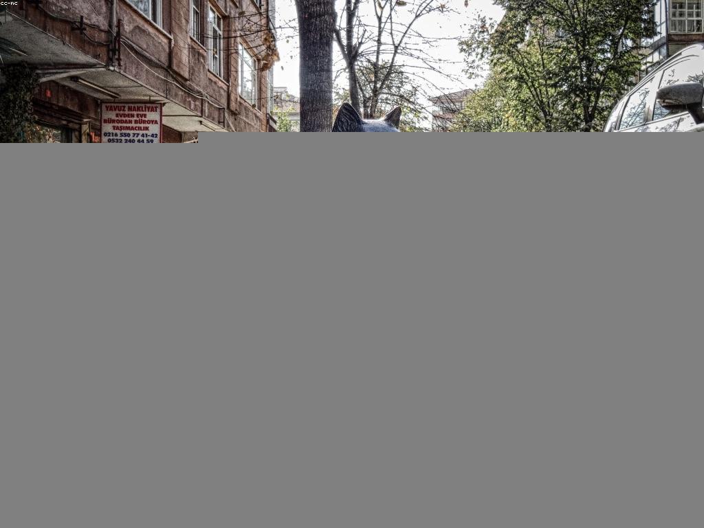 ការវិនិយោគទំនិញ: គន្លឹះសម្រាប់ការអភិវឌ្ឍន៍